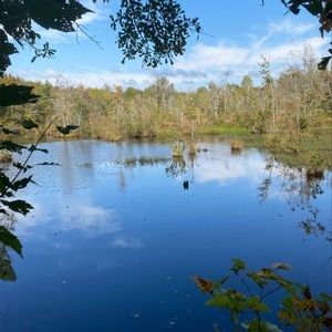 Meet your Posher, Derek